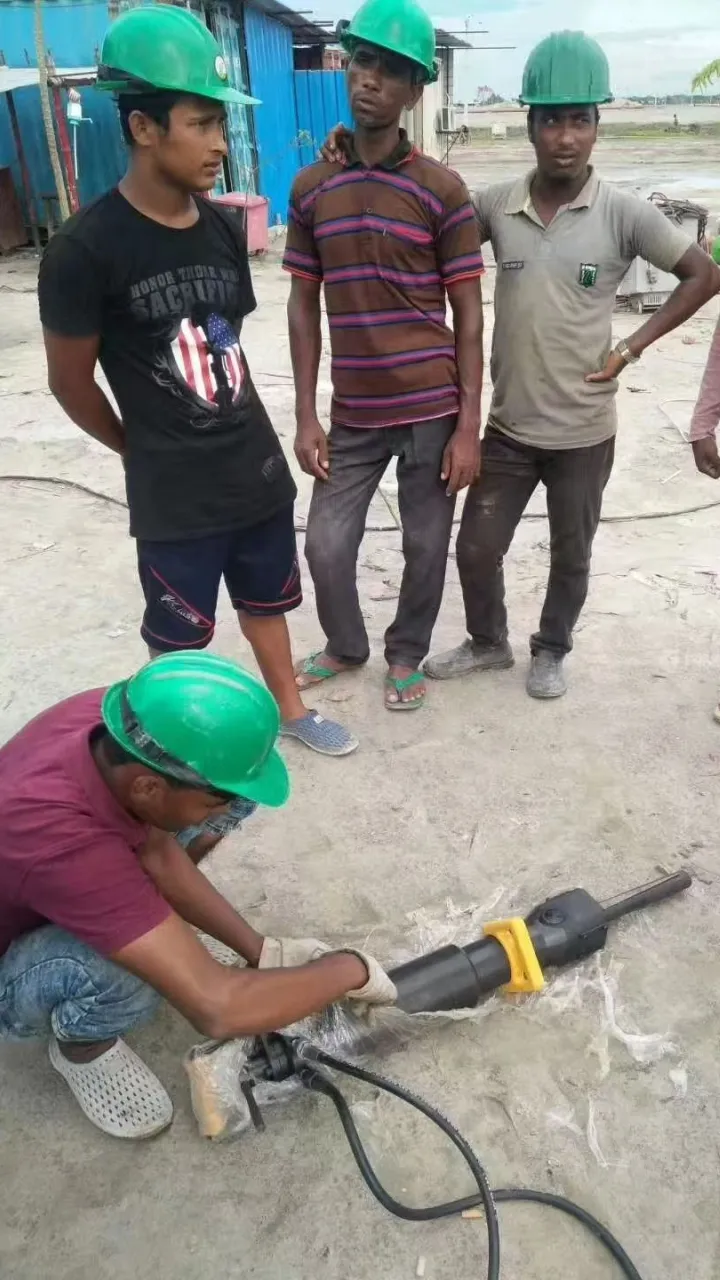 Global Project Portfolio